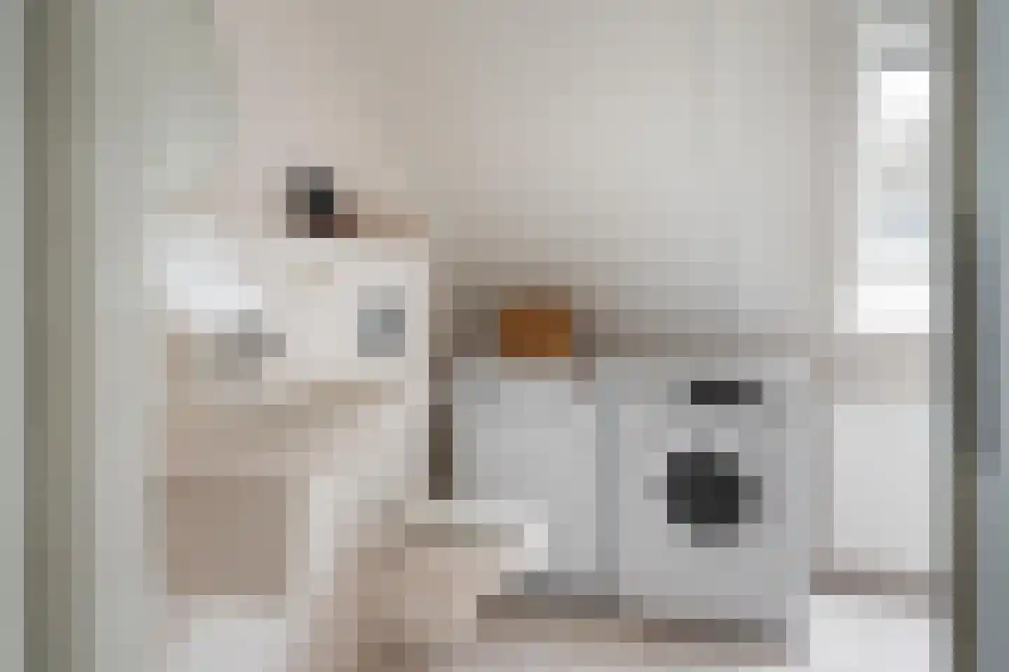 Koele 16 Appelscha thumbnail 30