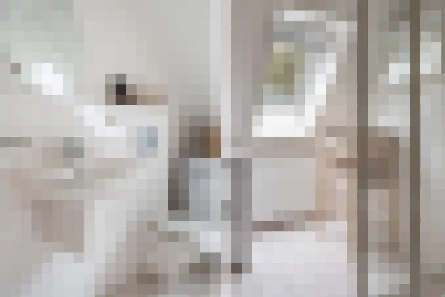 Koele 16 Appelscha thumbnail 31