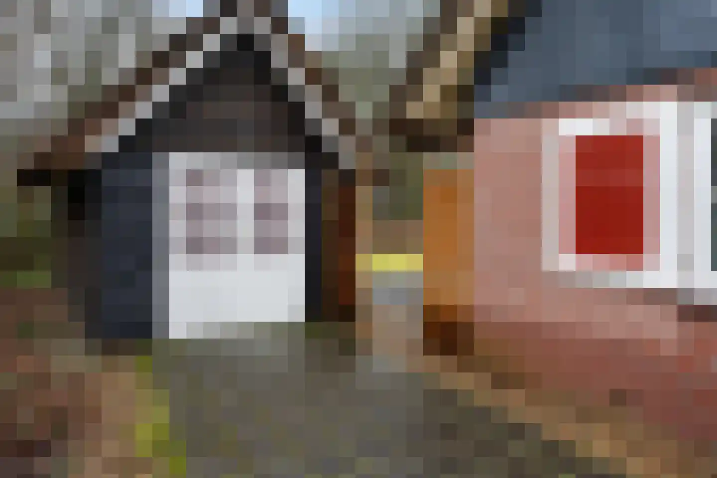 Koele 16 Appelscha thumbnail 32