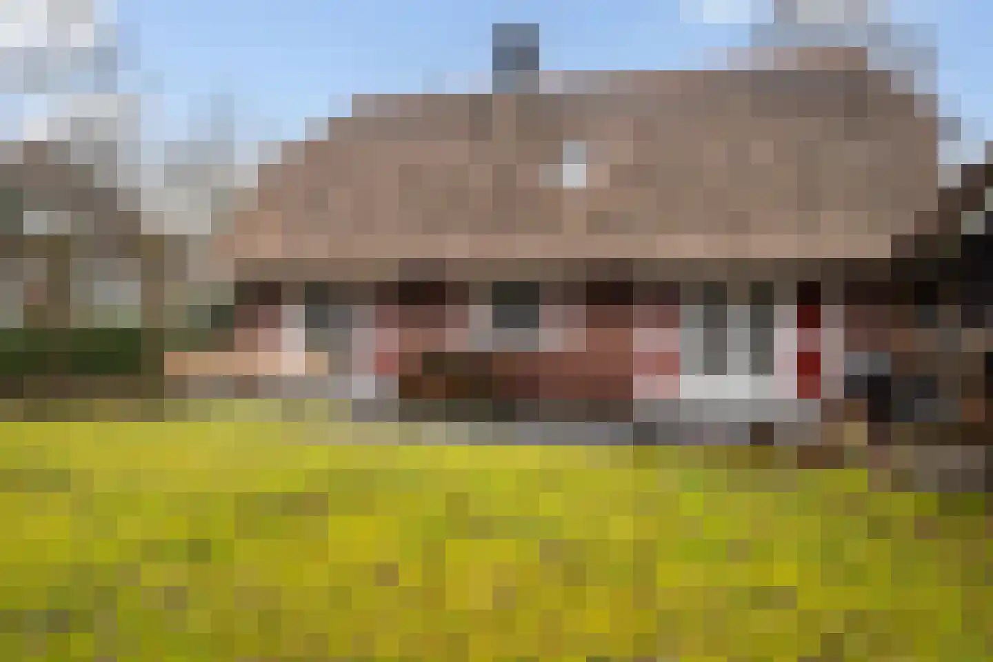 Koele 16 Appelscha thumbnail 35