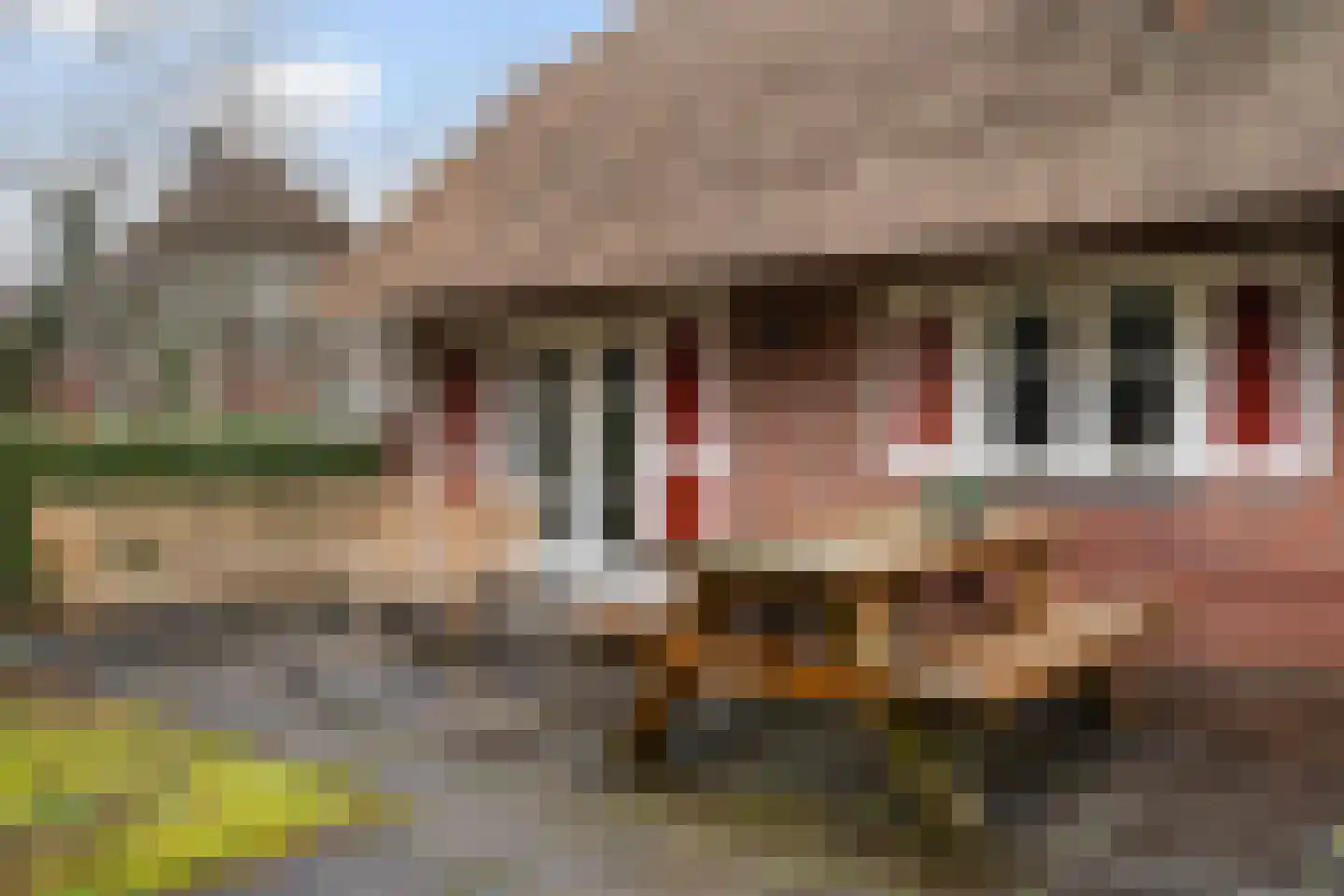 Koele 16 Appelscha thumbnail 36