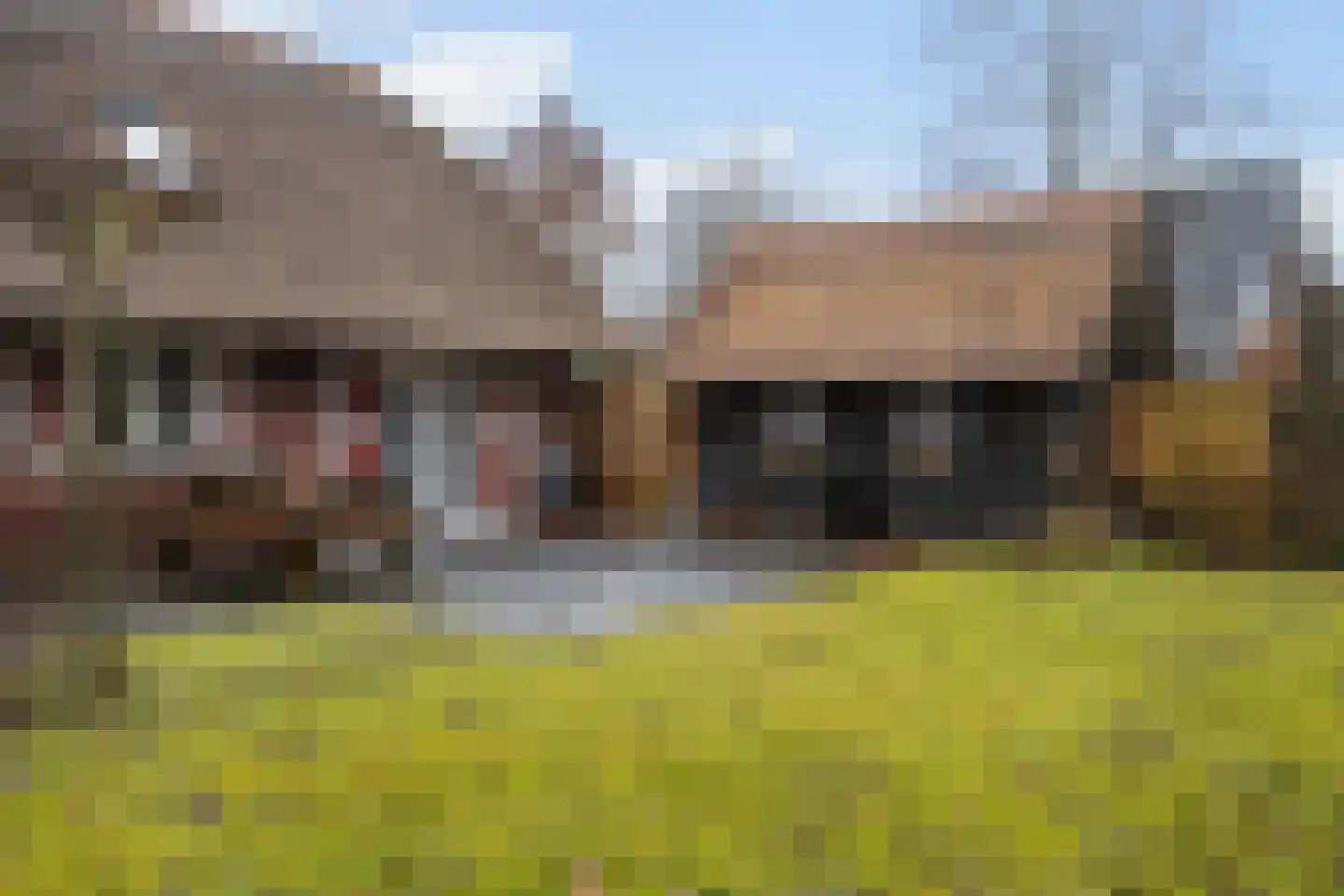Koele 16 Appelscha thumbnail 37