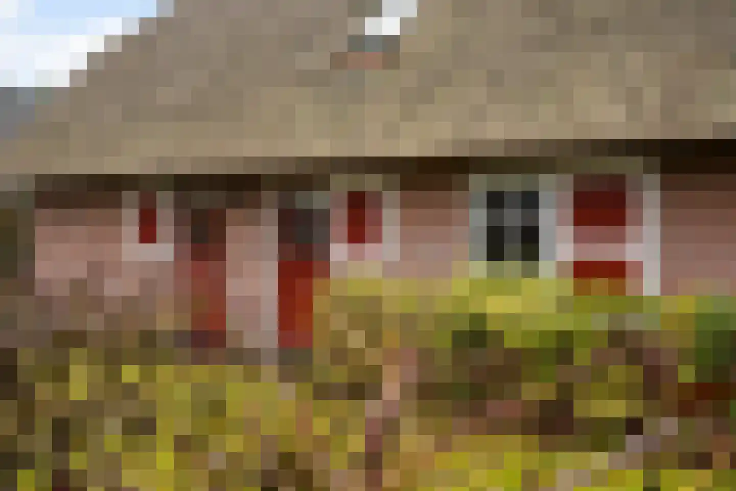 Koele 16 Appelscha thumbnail 38