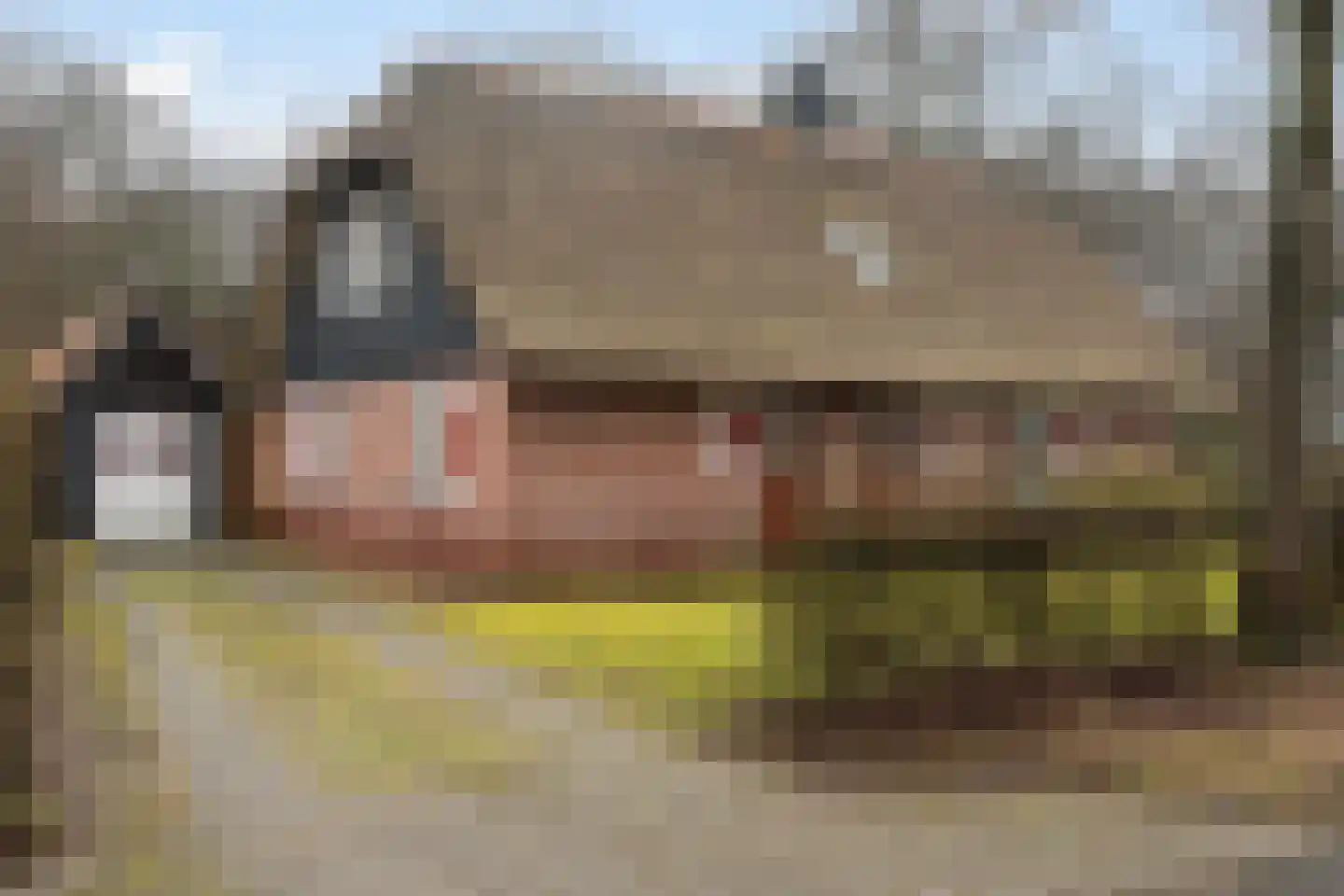Koele 16 Appelscha thumbnail 5