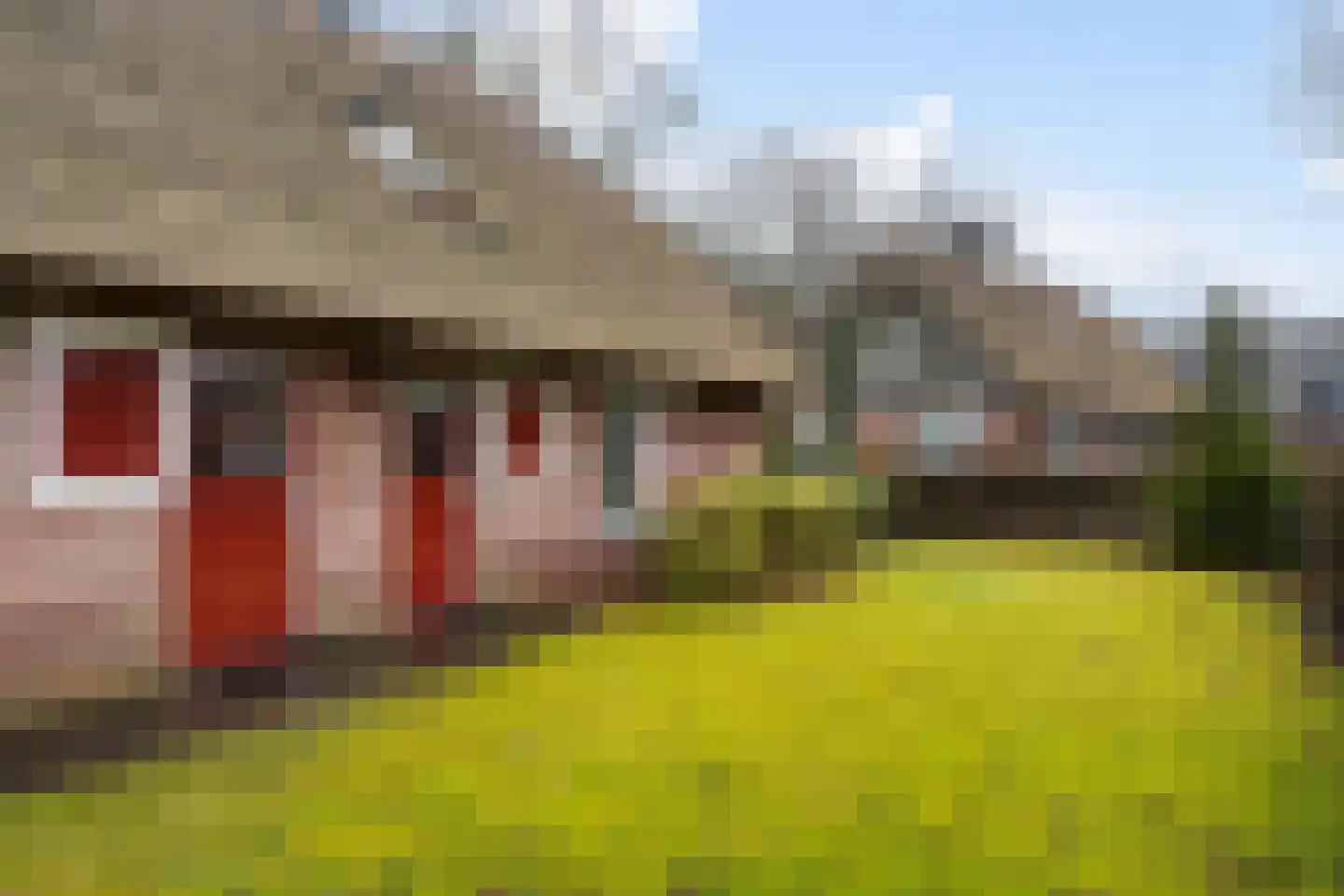 Koele 16 Appelscha thumbnail 6