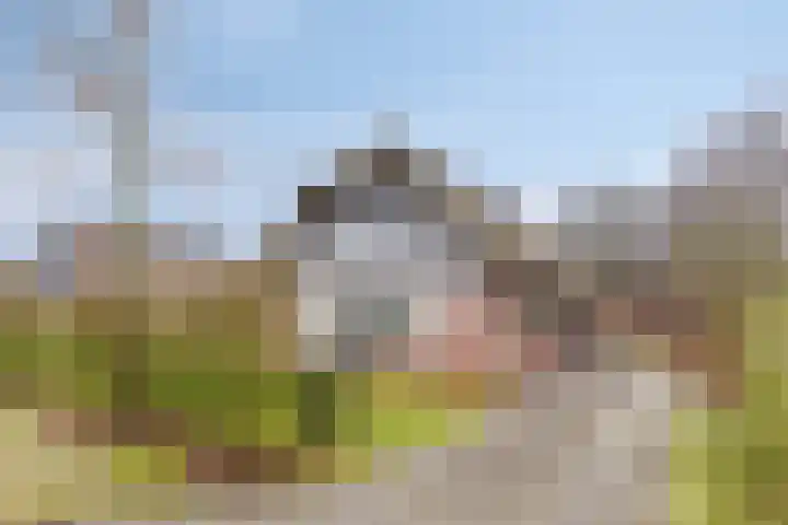 Koele 20 in Appelscha