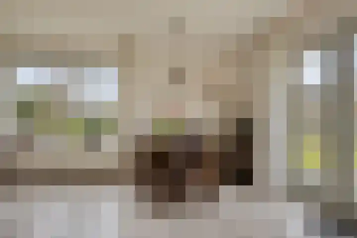 Koele 20 Appelscha thumbnail 11