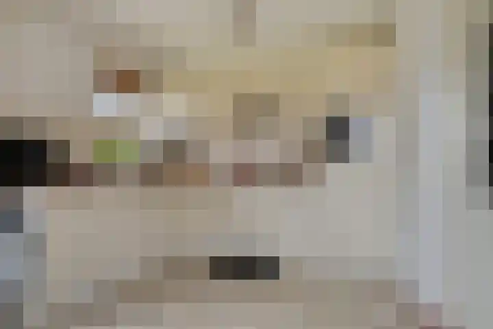 Koele 20 Appelscha thumbnail 12