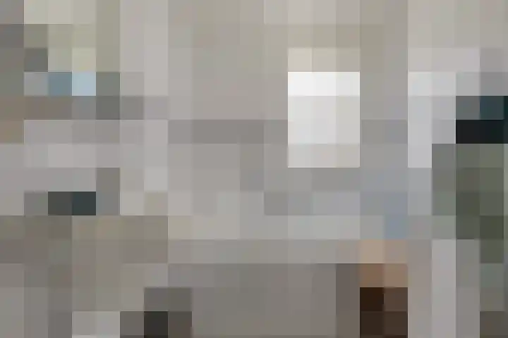 Koele 20 Appelscha thumbnail 16