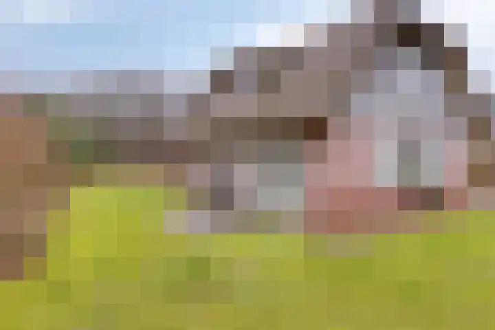 Koele 20 Appelscha foto 2
