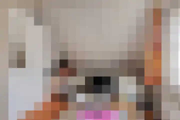 Koele 20 Appelscha thumbnail 23
