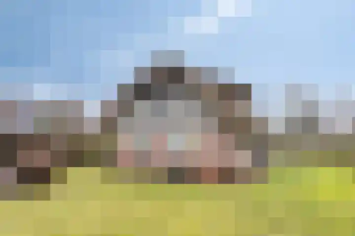 Koele 20 Appelscha thumbnail 28