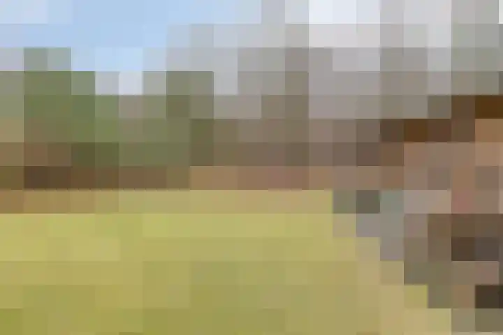 Koele 20 Appelscha foto 3