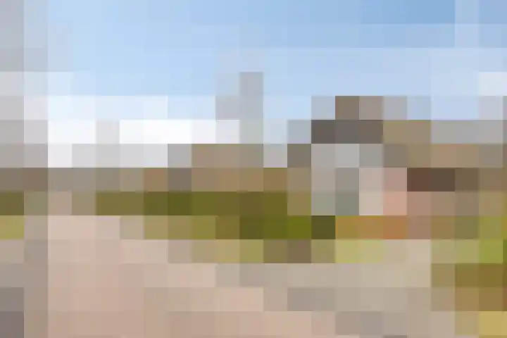 Koele 20 Appelscha thumbnail 30