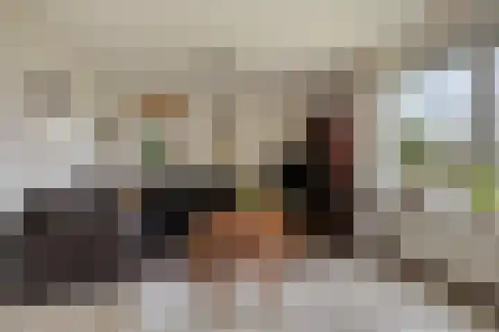 Koele 20 Appelscha thumbnail 7