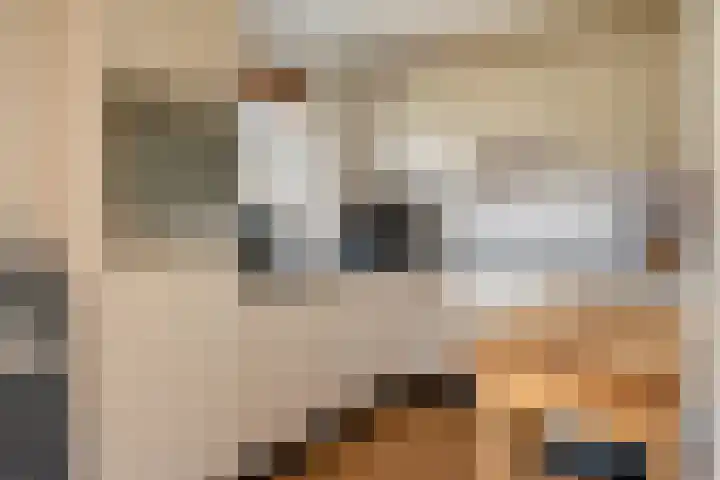 Koele 3 Appelscha thumbnail 15