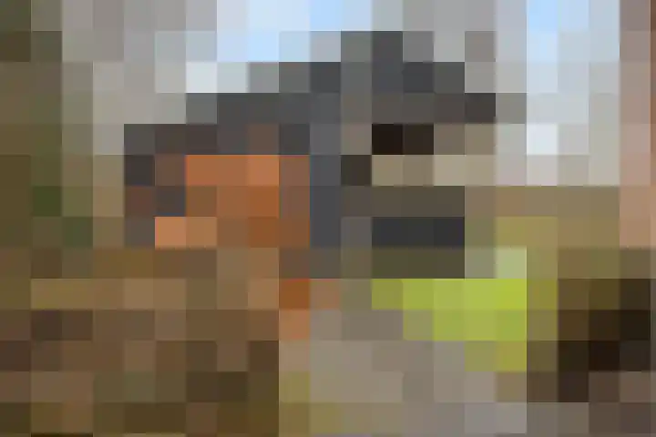 Koele 3 Appelscha thumbnail 30