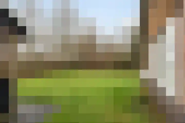 Koele 3 Appelscha thumbnail 31