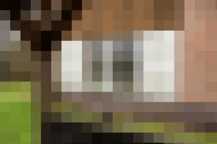 Koele 3 Appelscha thumbnail 33