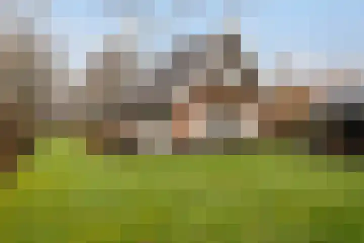 Koele 3 Appelscha thumbnail 34