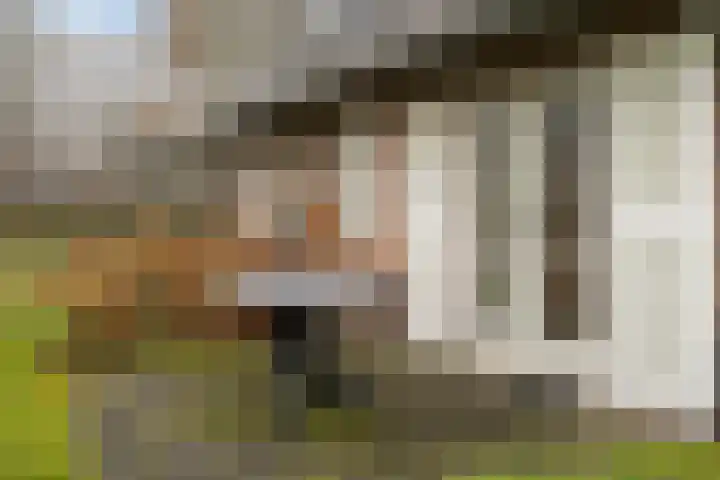 Koele 3 Appelscha thumbnail 36