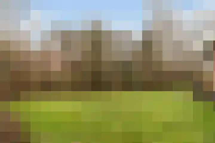 Koele 3 Appelscha thumbnail 37
