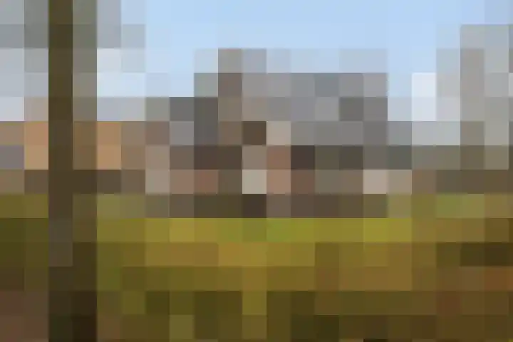 Koele 3 Appelscha thumbnail 38