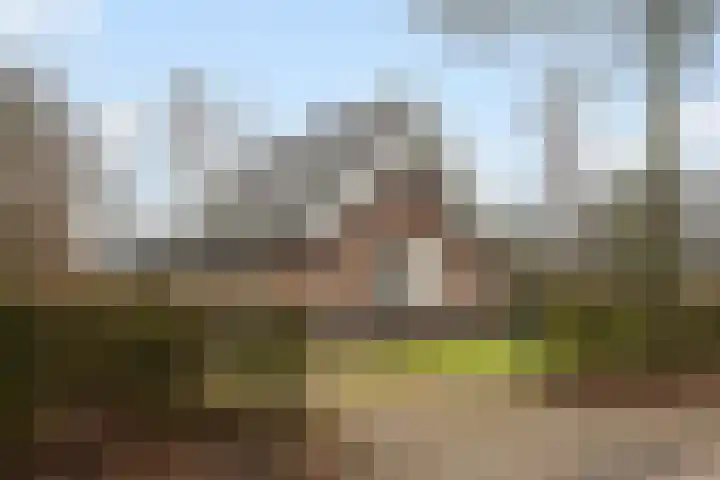 Koele 3 Appelscha thumbnail 39