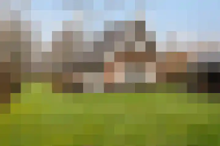 Koele 3 Appelscha thumbnail 4