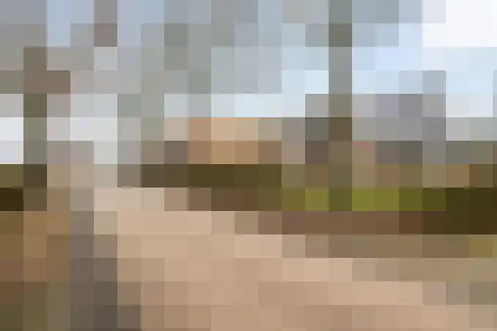 Koele 3 Appelscha thumbnail 40