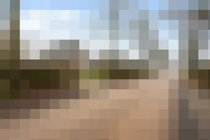 Koele 3 Appelscha thumbnail 41