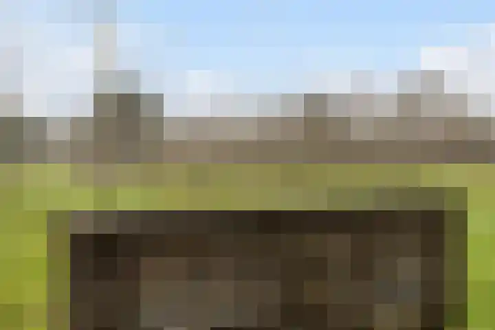 Koele 3 Appelscha thumbnail 42