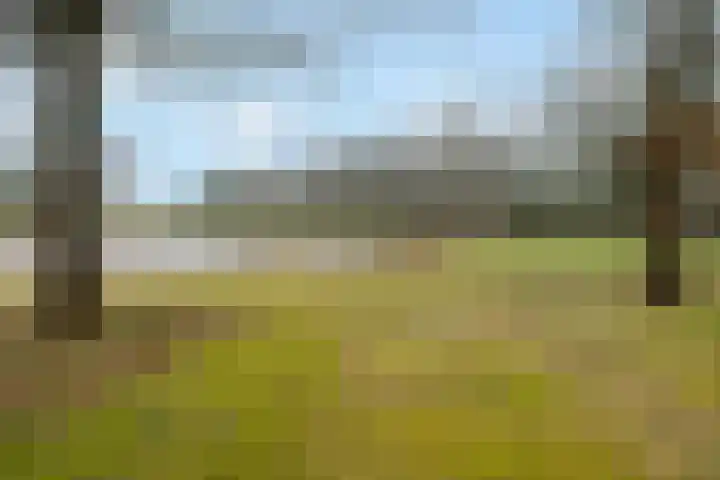 Koele 3 Appelscha thumbnail 44