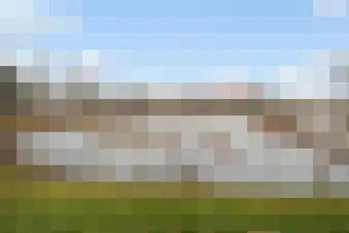 Koele 3 Appelscha thumbnail 45