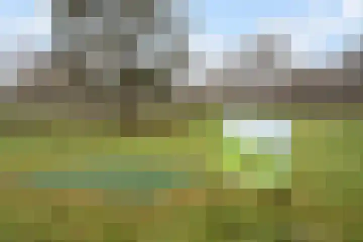 Koele 3 Appelscha thumbnail 46