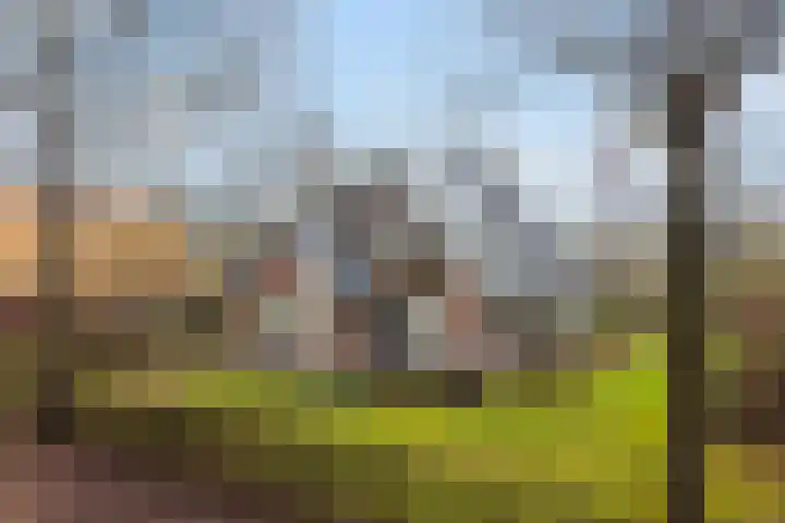 Koele 3 Appelscha thumbnail 6