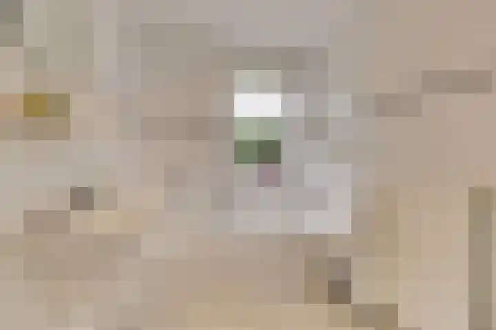 Koele 36 Appelscha thumbnail 14