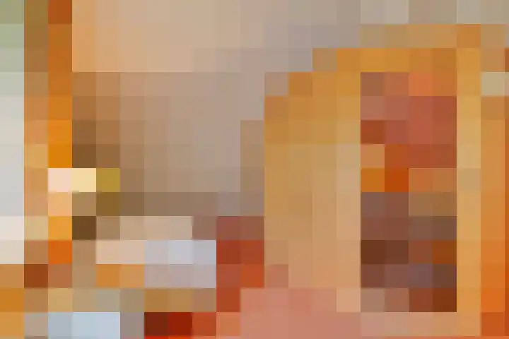 Koele 36 Appelscha thumbnail 18