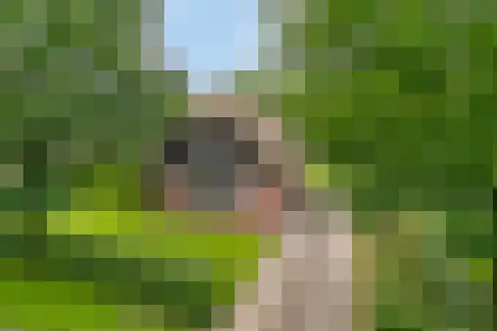 Koele 36 Appelscha foto 2