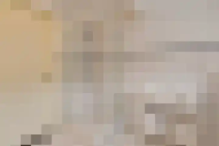 Koele 36 Appelscha thumbnail 23