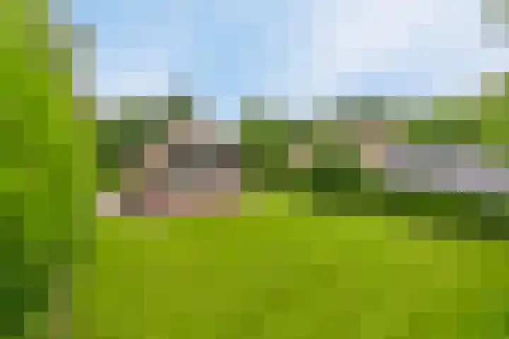 Koele 36 Appelscha thumbnail 24