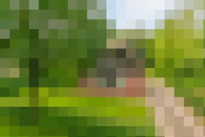 Koele 36 Appelscha thumbnail 25