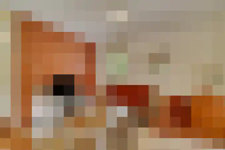 Koele 36 Appelscha thumbnail 7