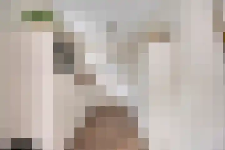 Koele 5 Appelscha thumbnail 13
