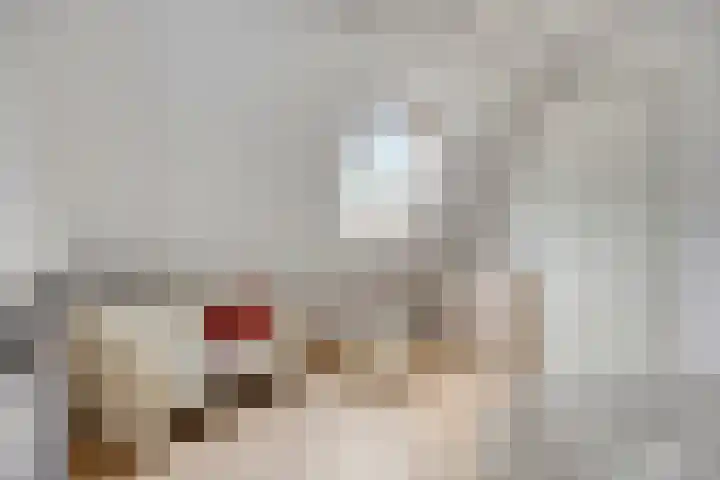 Koele 5 Appelscha thumbnail 26