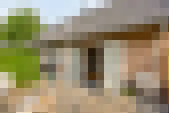 Koele 5 Appelscha thumbnail 30