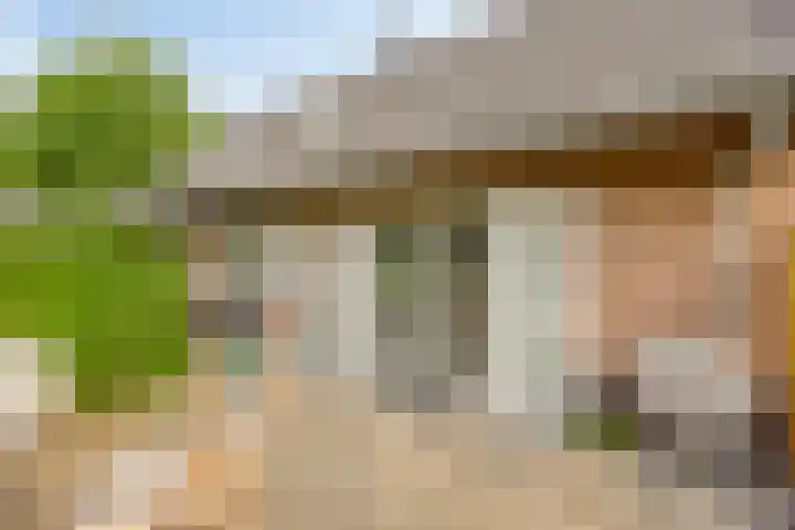 Koele 5 Appelscha thumbnail 31