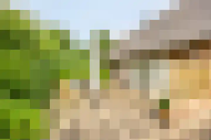 Koele 5 Appelscha thumbnail 33