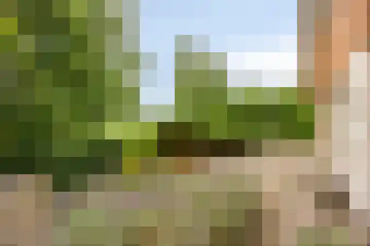 Koele 5 Appelscha thumbnail 34