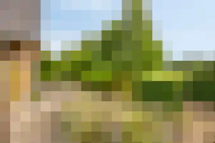 Koele 5 Appelscha thumbnail 35